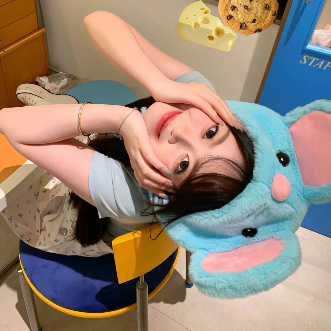 竞选伙伴